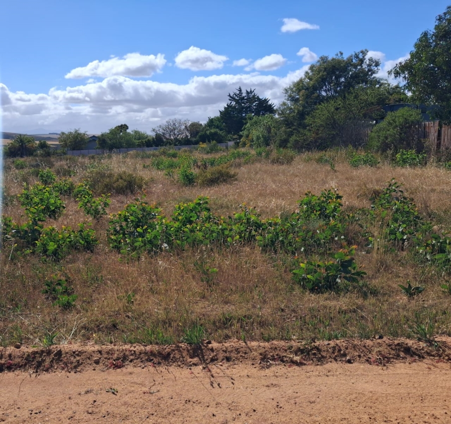 0 Bedroom Property for Sale in Bot River Avenues Western Cape